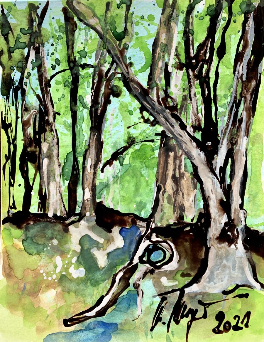 Jerrez - Costa de la Luz